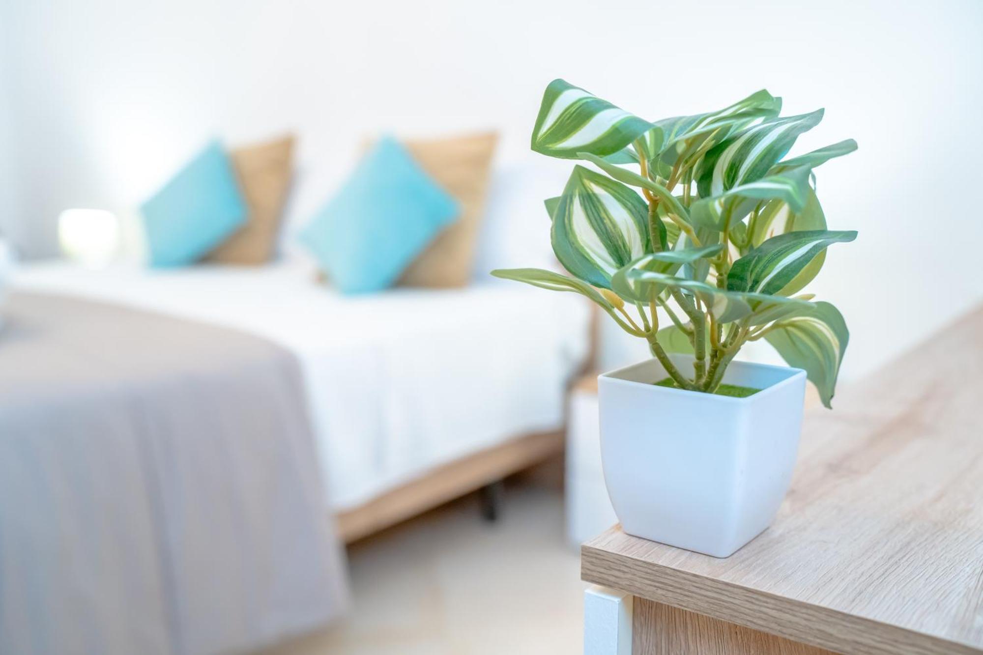 Appartement Dimora Dante 310 Bari